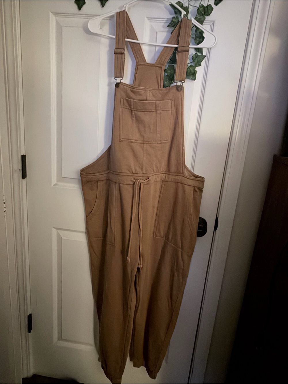 Cozy Wallflower Overalls